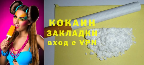 прущие грибы Богородицк