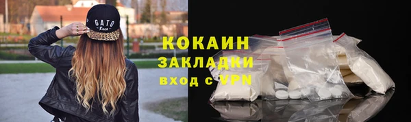 не бодяженный Бородино