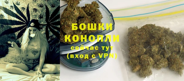 не бодяженный Бородино