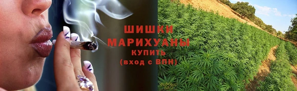 не бодяженный Бородино